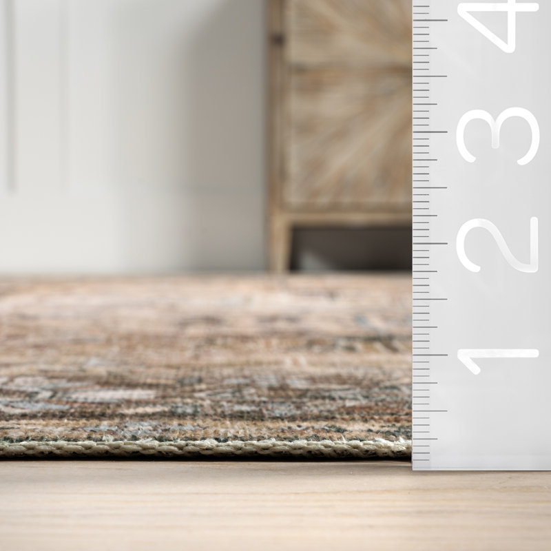 Ecker Medallion Machine Washable Area Rug for Living Room Bedroom Dining Room Kitchen, Runner 2'6" x 6'