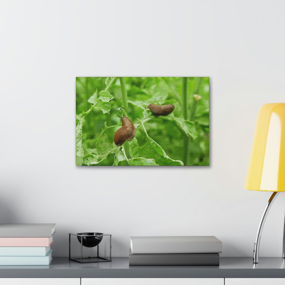 No Frame Print on Canvas
