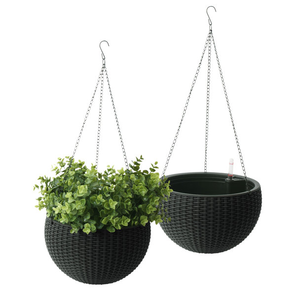 Algreen Modena Wicker Self-watering Plastic Hanging Planter | Wayfair