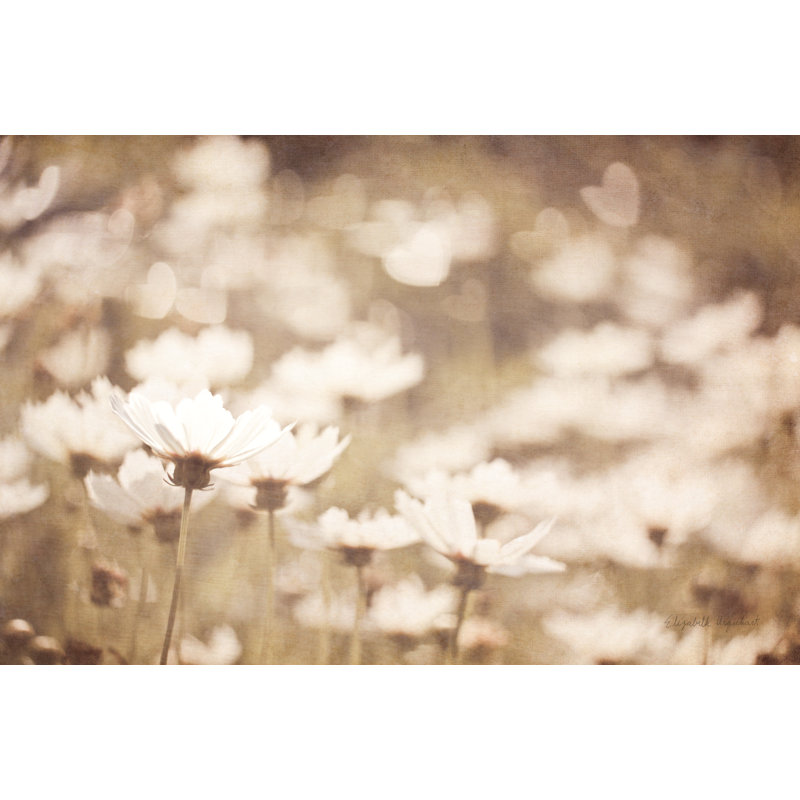 Marguerites I neutre, H 12 po x l 8 po x P 1,25 po