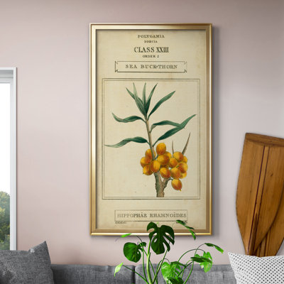 Linnaean Botany III - Peinture sur toile encadrée