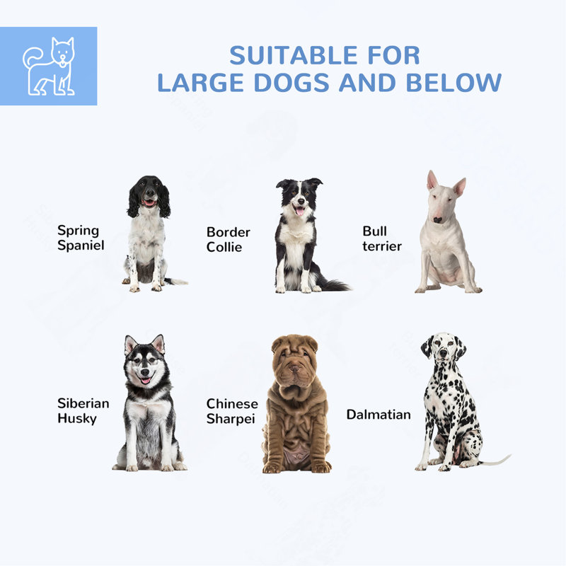 Piste pour chien 6,9 pi x 6,1 pi x 4,9 pi avec toit imperméable et résistant aux rayons UV, porte verrouillable, pour chiens de taille moyenne et grande, argent