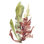 Seaweed Garden I, peinture sur toile