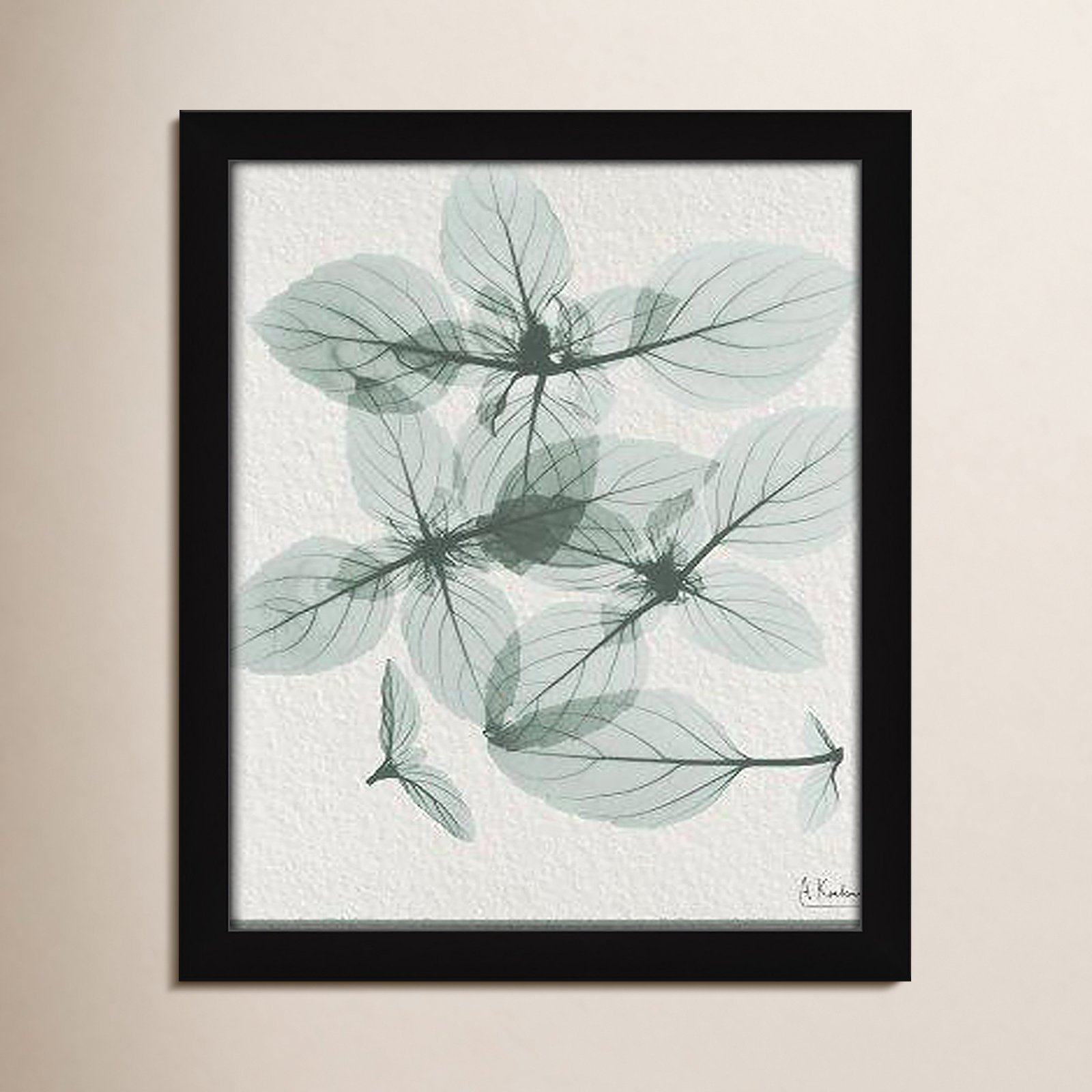 Basil Ocimum Basicicum Framed On Paper by Albert Koetsier Print, 15" H x 13" W x 1.25" D, Black Framed Paper