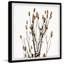 Rustic Branches - Single Picture Frame Painting-889997239