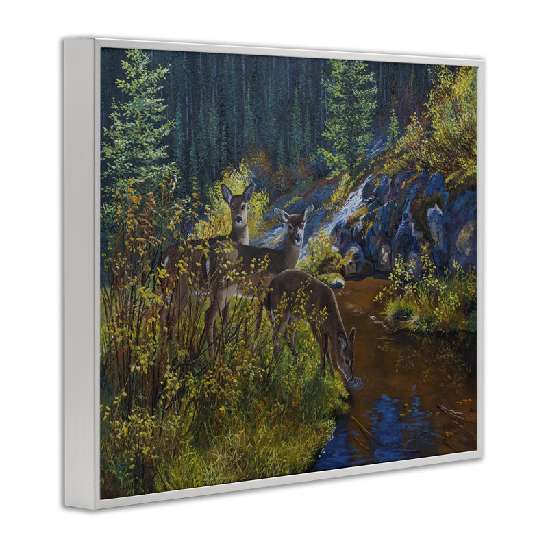 Cerf buvant à la rivière, estampe numérique par Andrew Kiss, Giclée encadrée blanc bord de mer, H 24 po x l 30 po