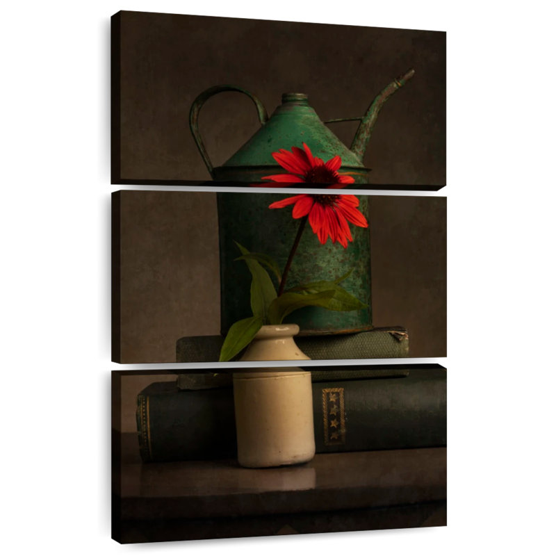 Harnek Rustic Red Coneflower, 38" H x 24" W