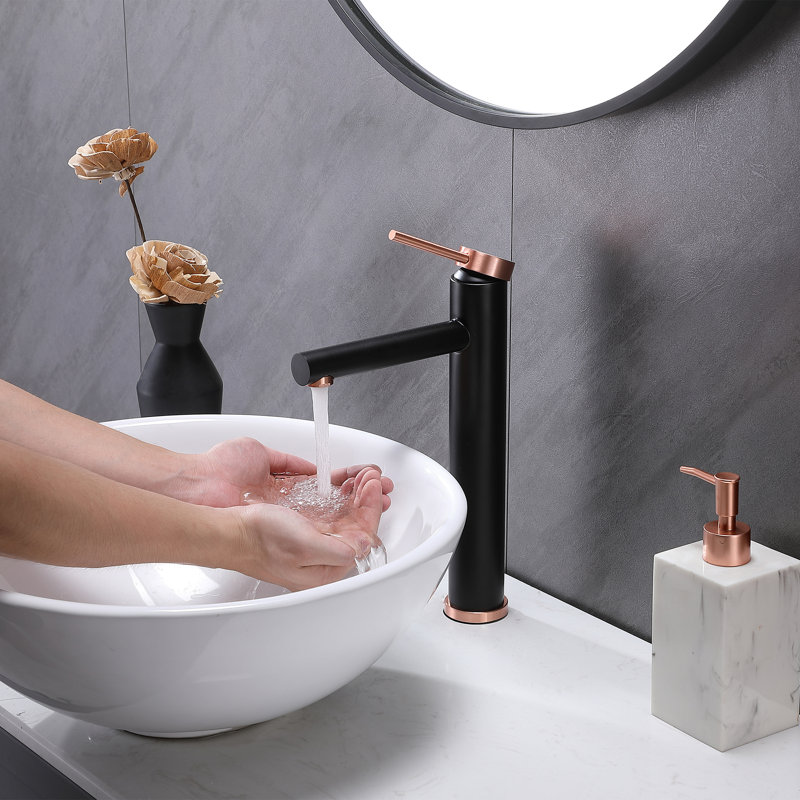 Robinet de lavabo vasque en acier inoxydable avec conduites d'alimentation, Noir / or