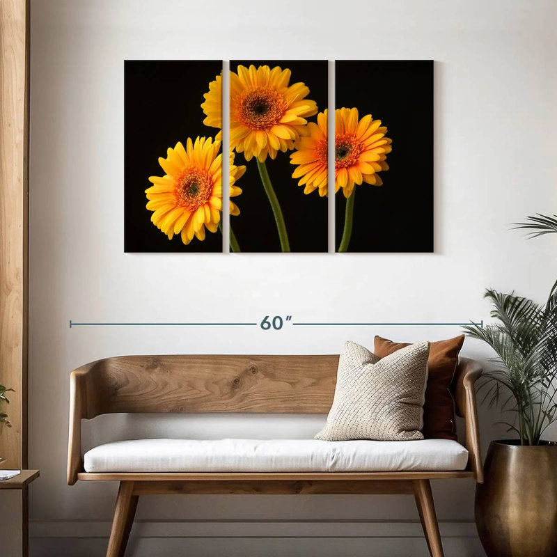 Trois marguerites Harnek sur fond sombre, H 28 po x l 45 po