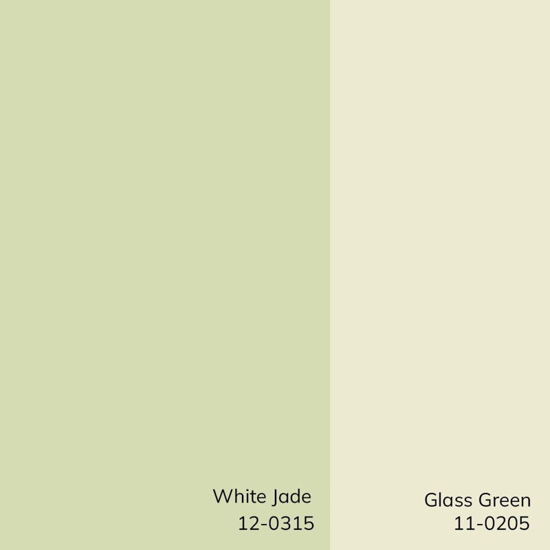 Light Green and White Polyester Floral Throw Pillow Cover