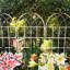 2 Pack Metal Garden Trellis Rustproof Trellis for Climbing Plants Outdoor Flower Support