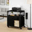 60cm Wide File Cabinet-126099236
