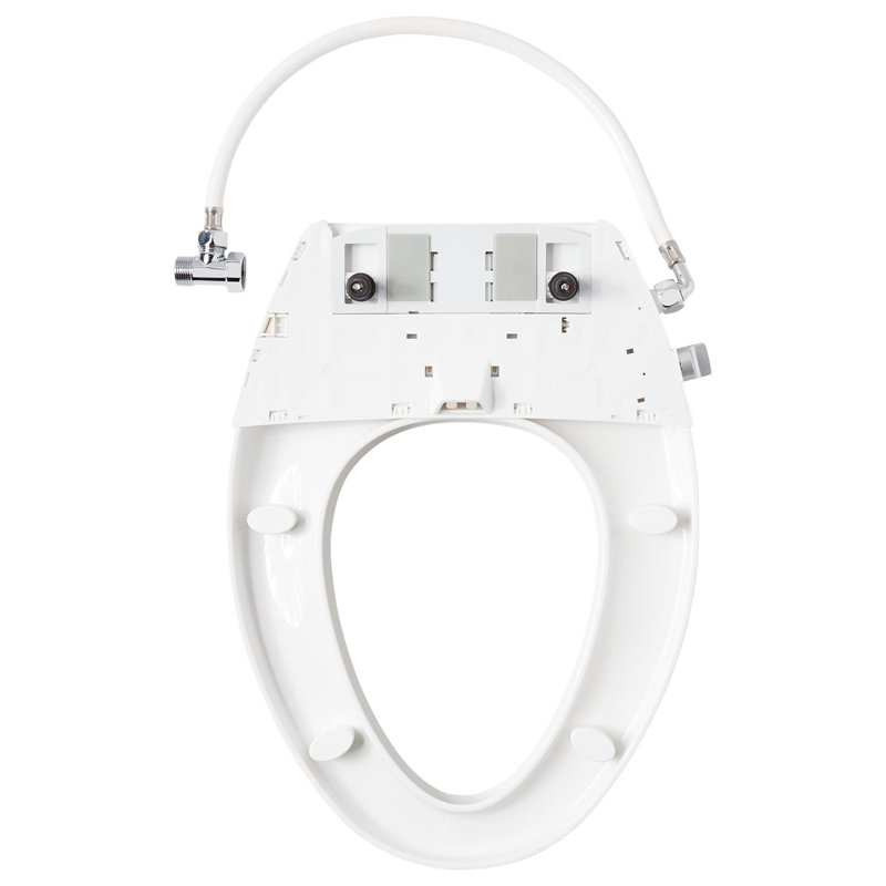 Carraway Two-Piece Skirted Elongated Toilet
