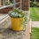 Pot à fleurs rond en plastique recyclé 5 po