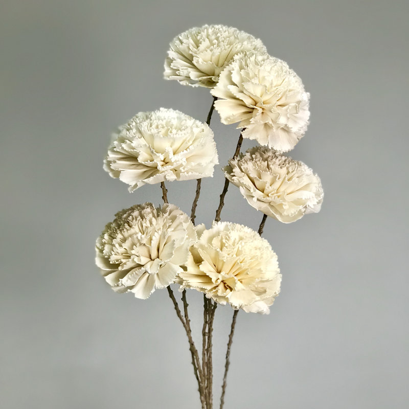 Carnation Arrangement