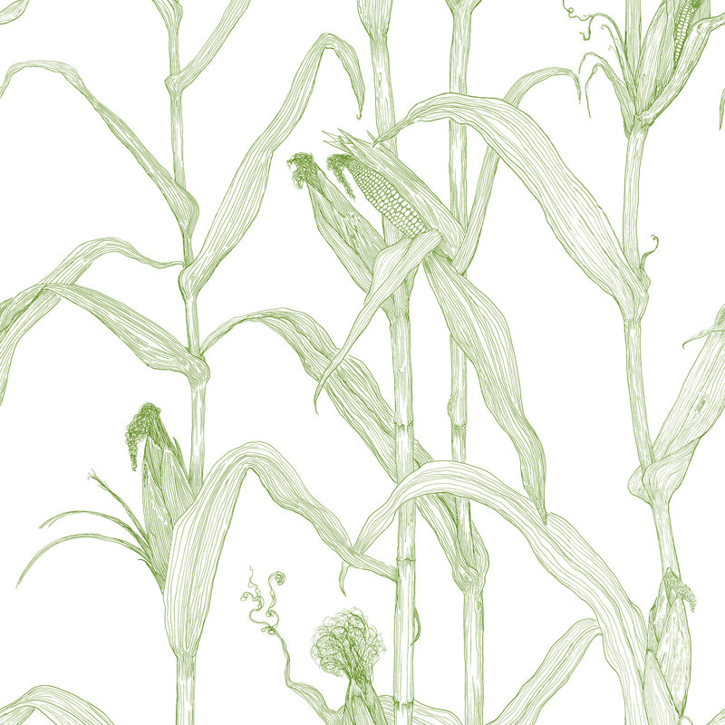 Corn Rows, Summer Green, Paper