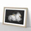 Portrait of a Cat Vol.4 - Picture Frame Graphic Art-62804197-62804199