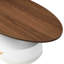 Table basse de luxe, salon, tables ovales et rondes, rangement, finition blanche, assemblage facile, coffre-fort pour famille, conception élégante, structure en métal, arrangement flexible