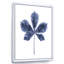 Feuille de châtaignier - reproduction sur toile avec cadre flottant-59636762-59636769