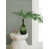 Spa est en rupture de stock