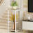 Stephanotis Plant Stand