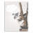 Animals-1539141824