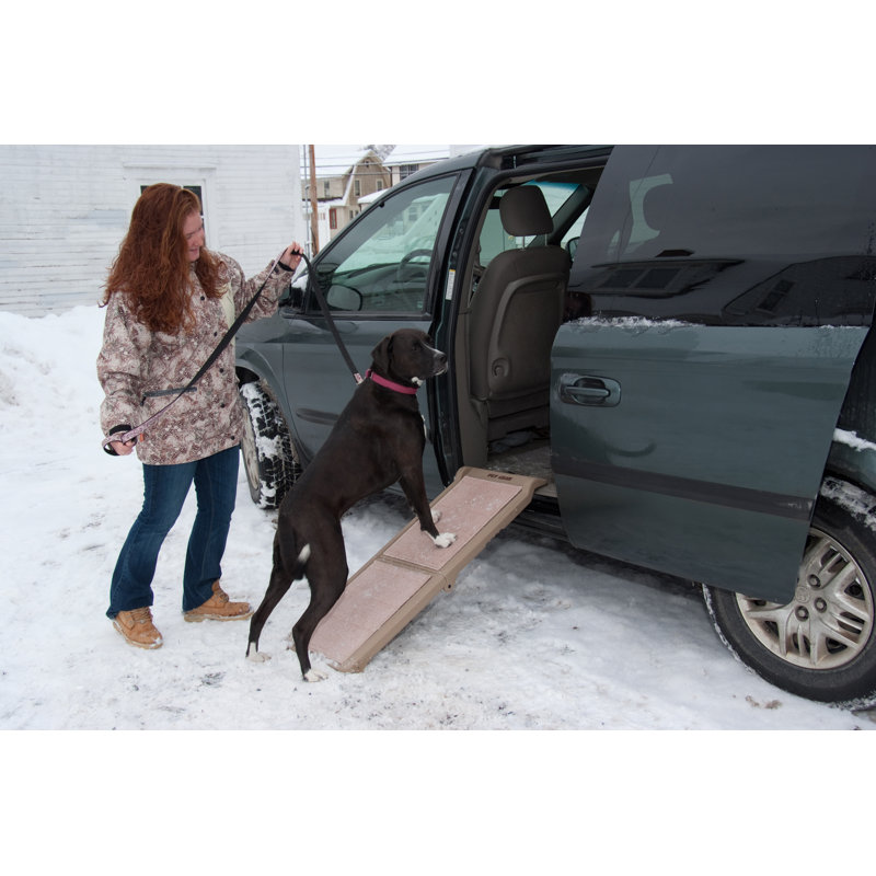 Tan Collapsible Pet Ramp with Machine Washable Carpet