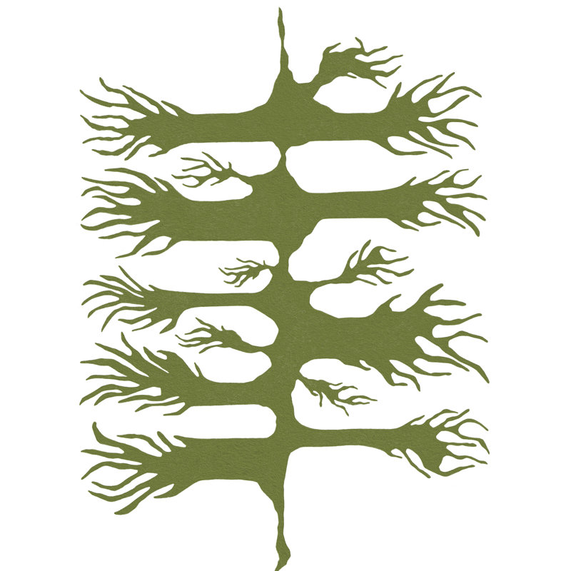 Wild Root Print by Trish Sierer, Black Framed Paper, 31.25" H x 25.25" W
