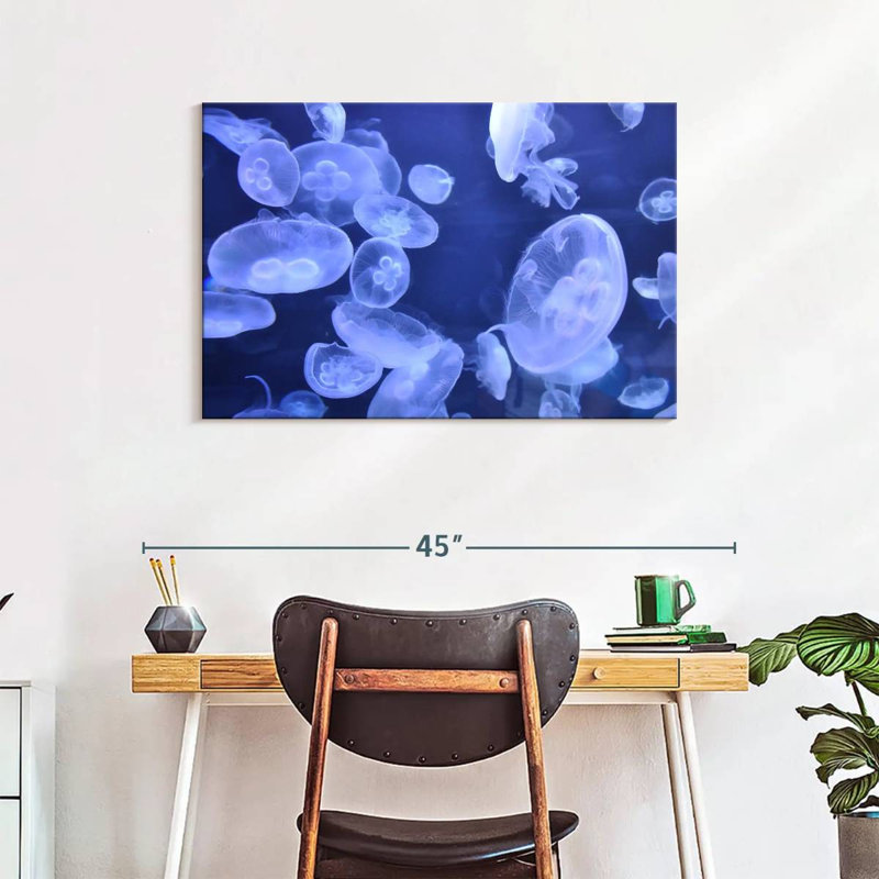 Sea Jellies, 24" H x 36" W