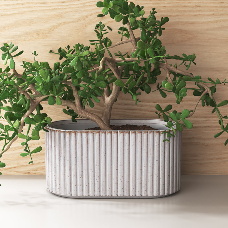 Pot à fleurs en céramique Williar, H 4 po x l 8 po x P 4 po