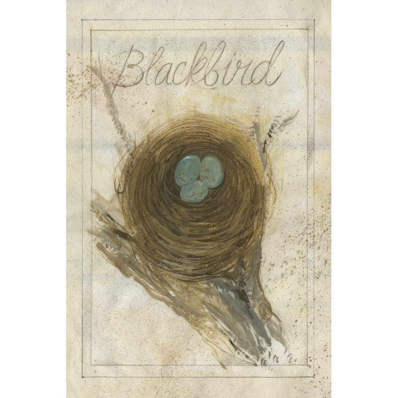 Nest - Blackbird - Wrapped Canvas Print, 91cm H x 61cm W