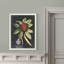 « royal feuillage iii » par paul cezanne-cadre photo, reproduction d’art-1244161666-1244161667