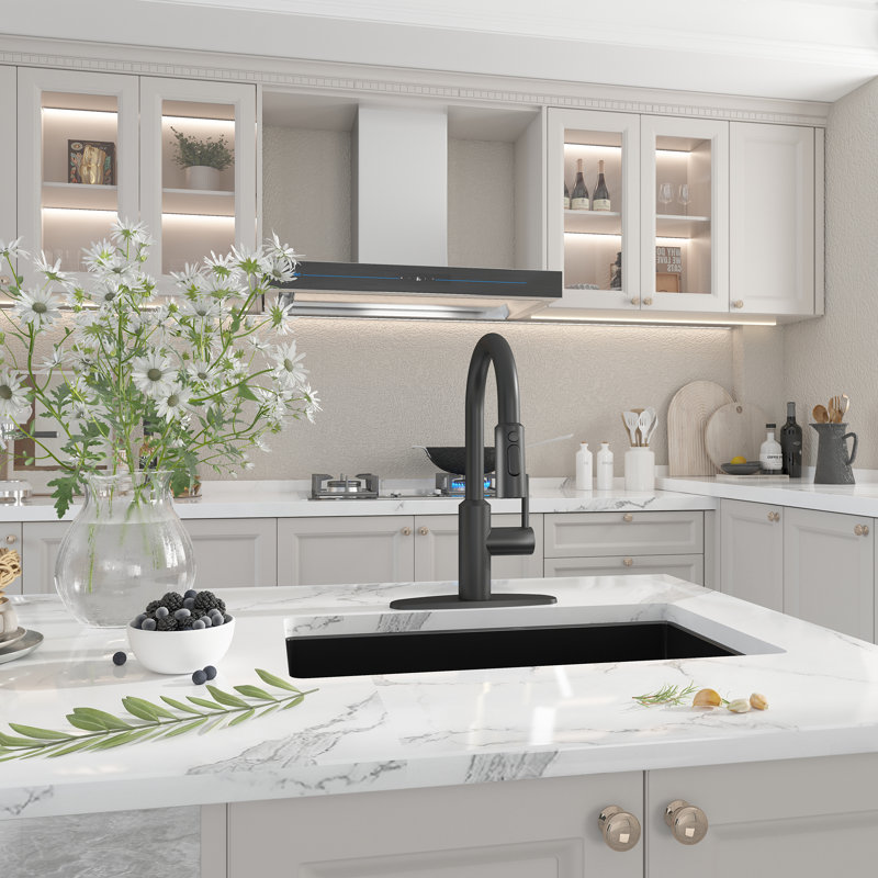 Boyel Living Kitchen Faucet Side Spray, Matte Black