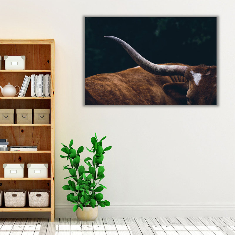 Texas Longhorn Cow Close Up - Canvas Print Wall Art, 32" H x 48" W