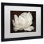 « white tulip iii », reproduction de photo sur toile encadrée-32707334-32707337