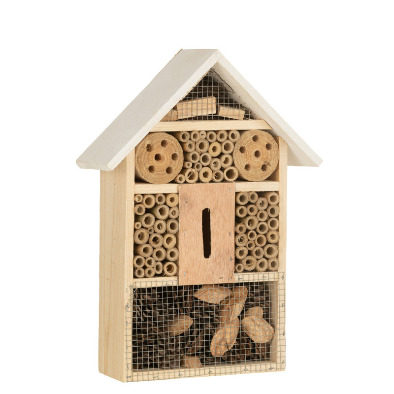 Silvestri Mounted Insect House