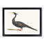 Water Bird by Johan Teyler - Picture Frame Art Print-55761618-55761619
