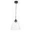 Chiles 1 - Light Black Pendant
