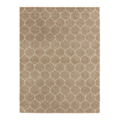 Geometric Indoor Rug