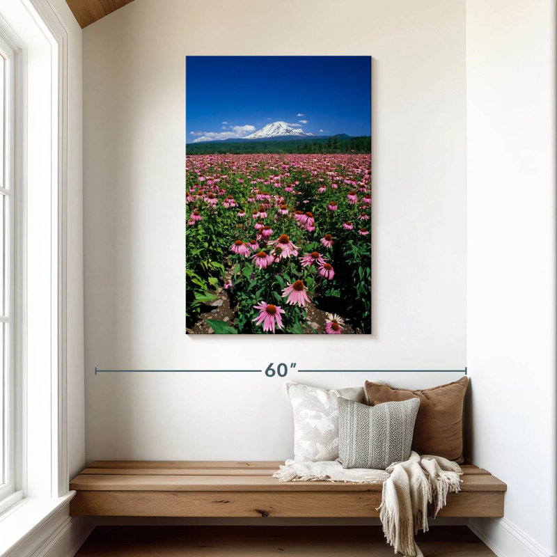 Harnek Echinacea Field, 45" H x 30" W