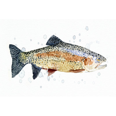 Watercolour Rainbow Trout I by Emma Caroline - Painting on Canvas
