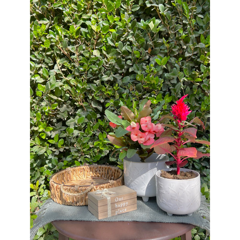 Petoskey Handmade Pot Planter, Ivory