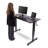 Adjustable Height Steel Standing Desk-60317204