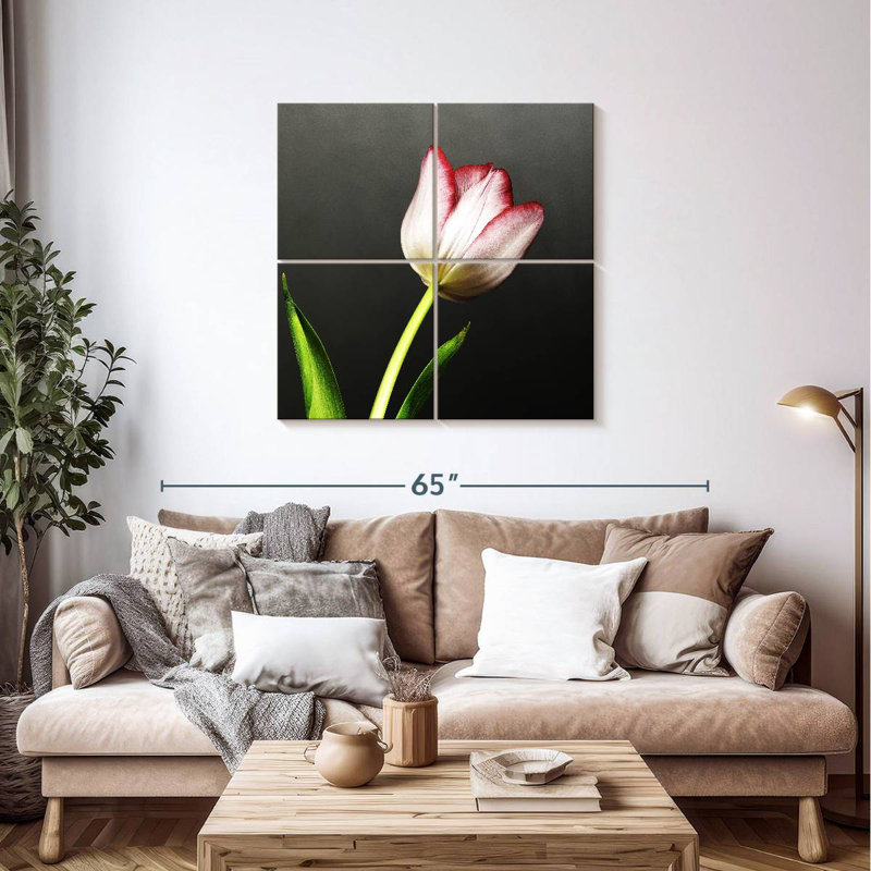 Harnek Red Tipped White Tulips