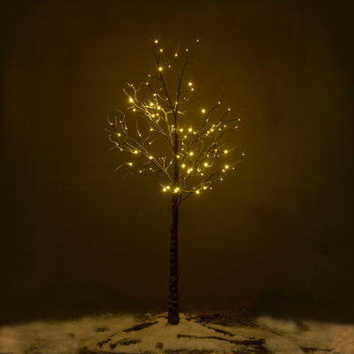Lighted Trees & Branches