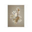 Shells On Champagne II Print by Sofia Fox-26943573-26943569