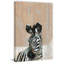 'Bonjour Zebra' Print on Wrapped Canvas-27175424