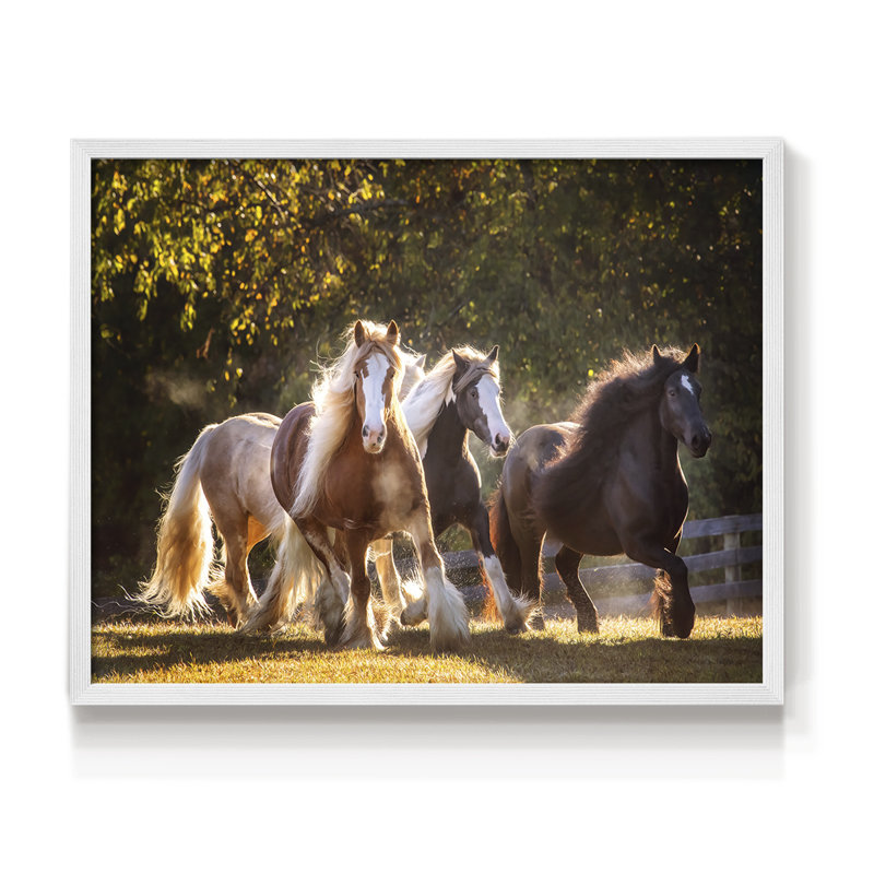 Sunlit Horses III -Framed Print - Restickable, H 16 po x l 20 po, Blanc