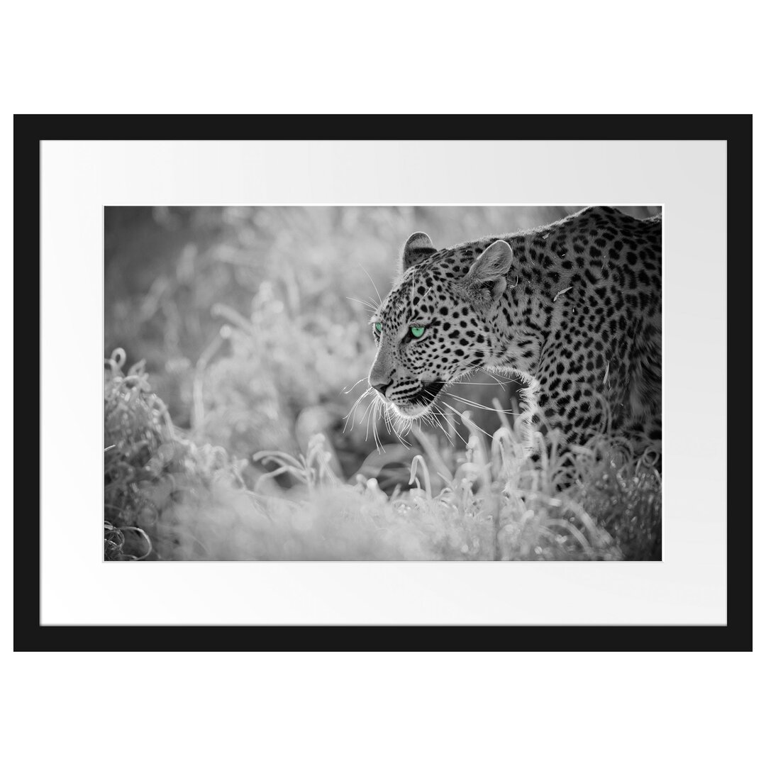 Gerahmtes Poster Schleichender Leopard