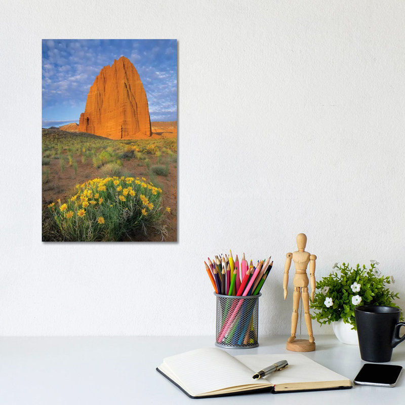 Common Sunflower Cluster And Temple Of The Sun, Capitol Reef National Park, Utah I by Tim Fitzharris - Gallery-Wrapped Canvas Giclée on Canvas